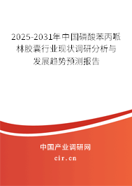 2025-2031年中國磷酸苯丙哌林膠囊行業(yè)現(xiàn)狀調研分析與發(fā)展趨勢預測報告