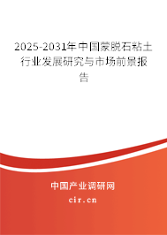 2025-2031年中國蒙脫石粘土行業(yè)發(fā)展研究與市場前景報告