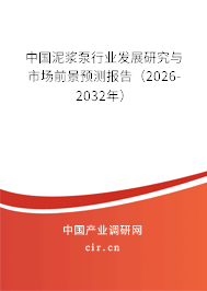 中國泥漿泵行業(yè)發(fā)展研究與市場前景預(yù)測報告（2026-2032年）