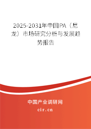 2025-2031年中國PA(尼龍)市場研究分析與發(fā)展趨勢報告 2025-2031年中國PA(尼龍)市場研究分析與發(fā)展趨勢報告