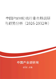 中國PWM舵機行業(yè)市場調研與趨勢分析（2025-2031年）