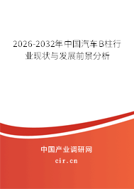 2026-2032年中國汽車B柱行業(yè)現(xiàn)狀與發(fā)展前景分析 2026-2032年中國汽車B柱行業(yè)現(xiàn)狀與發(fā)展前景分析