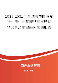 2025-2031年全球與中國(guó)汽車行業(yè)用生物基聚酰胺市場(chǎng)現(xiàn)狀分析及前景趨勢(shì)預(yù)測(cè)報(bào)告 2025-2031年全球與中國(guó)汽車行業(yè)用生物基聚酰胺市場(chǎng)現(xiàn)狀分析及前景趨勢(shì)預(yù)測(cè)報(bào)告