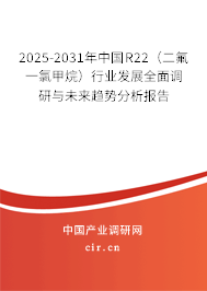 2025-2031年中國R22(二氟一氯甲烷)行業(yè)發(fā)展全面調(diào)研與未來趨勢分析報告 2025-2031年中國R22(二氟一氯甲烷)行業(yè)發(fā)展全面調(diào)研與未來趨勢分析報告