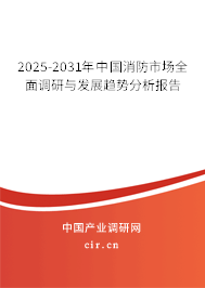 2025-2031年中國消防市場(chǎng)全面調(diào)研與發(fā)展趨勢(shì)分析報(bào)告