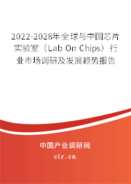 2022-2028年全球與中國芯片實(shí)驗(yàn)室(Lab On Chips)行業(yè)市場調(diào)研及發(fā)展趨勢報(bào)告 2022-2028年全球與中國芯片實(shí)驗(yàn)室(Lab On Chips)行業(yè)市場調(diào)研及發(fā)展趨勢報(bào)告