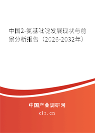 中國2-氨基吡啶發(fā)展現(xiàn)狀與前景分析報(bào)告（2026-2032年）