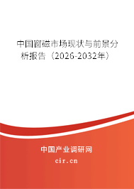 中國窗磁市場現(xiàn)狀與前景分析報告（2026-2032年）