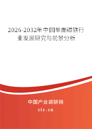 2026-2032年中國單面磁鐵行業(yè)發(fā)展研究與前景分析 2026-2032年中國單面磁鐵行業(yè)發(fā)展研究與前景分析