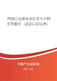 中國(guó)燈光帶發(fā)展現(xiàn)狀與市場(chǎng)前景報(bào)告（2025-2031年）