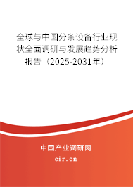 全球與中國分條設備行業(yè)現(xiàn)狀全面調研與發(fā)展趨勢分析報告（2025-2031年）