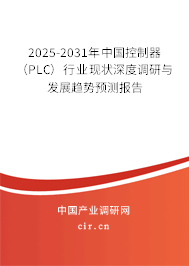 2025-2031年中國控制器（PLC）行業(yè)現(xiàn)狀深度調(diào)研與發(fā)展趨勢預(yù)測報告