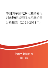 中國汽車尾氣凈化三效催化劑市場現(xiàn)狀調(diào)研與發(fā)展前景分析報告（2025-2031年）