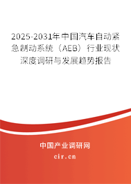2025-2031年中國(guó)汽車自動(dòng)緊急制動(dòng)系統(tǒng)（AEB）行業(yè)現(xiàn)狀深度調(diào)研與發(fā)展趨勢(shì)報(bào)告