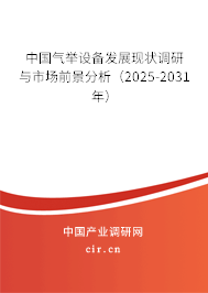 中國氣舉設備發(fā)展現(xiàn)狀調(diào)研與市場前景分析（2025-2031年）