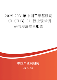 2026-2032年中國(guó)三甲基硼烷（B（CH3）3）行業(yè)現(xiàn)狀調(diào)研與發(fā)展前景報(bào)告