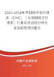 2025-2031年中國羧甲基纖維素（CMC）（含聚陰離子纖維素）行業(yè)現(xiàn)狀調(diào)研分析與發(fā)展趨勢預(yù)測報告