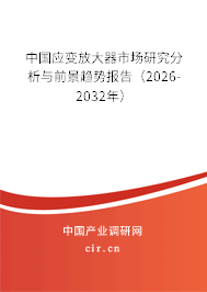 中國應(yīng)變放大器市場研究分析與前景趨勢報告（2025-2031年）