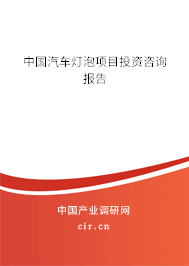 中國汽車燈泡項目投資咨詢報告 中國汽車燈泡項目投資咨詢報告