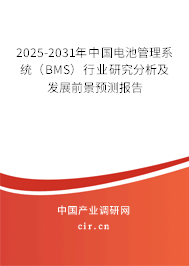 2025-2031年中國電池管理系統(tǒng)（BMS）行業(yè)研究分析及發(fā)展前景預(yù)測報(bào)告