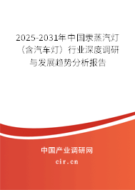 2025-2031年中國汞蒸汽燈(含汽車燈)行業(yè)深度調(diào)研與發(fā)展趨勢分析報告 2025-2031年中國汞蒸汽燈(含汽車燈)行業(yè)深度調(diào)研與發(fā)展趨勢分析報告