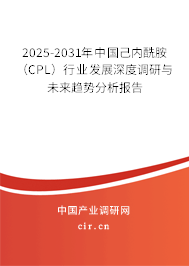 2025-2031年中國己內(nèi)酰胺(CPL)行業(yè)發(fā)展深度調(diào)研與未來趨勢分析報告 2025-2031年中國己內(nèi)酰胺(CPL)行業(yè)發(fā)展深度調(diào)研與未來趨勢分析報告