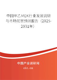 中國甲乙MEK行業(yè)發(fā)展調研與市場前景預測報告（2025-2031年）
