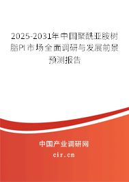 2025-2031年中國聚酰亞胺樹脂PI市場全面調(diào)研與發(fā)展前景預(yù)測報告