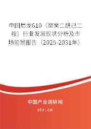 中國尼龍610（聚癸二酰己二胺）行業(yè)發(fā)展現(xiàn)狀分析及市場前景報(bào)告（2025-2031年）