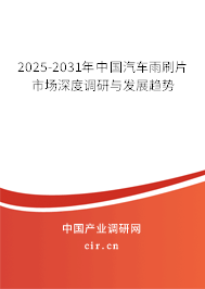 2025-2031年中國(guó)汽車(chē)雨刷片市場(chǎng)深度調(diào)研與發(fā)展趨勢(shì)