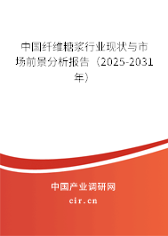 中國纖維糖漿行業(yè)現(xiàn)狀與市場前景分析報告（2025-2031年）