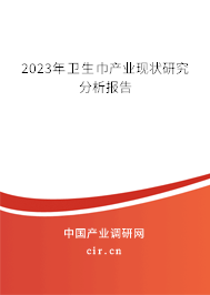 2023年衛(wèi)生巾產(chǎn)業(yè)現(xiàn)狀研究分析報(bào)告
