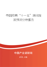 中國照明“十一五”期間發(fā)展預(yù)測分析報告