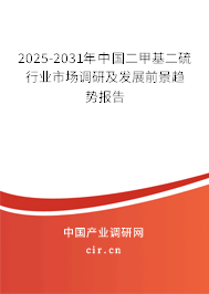 2024-2030年中國二甲基二硫行業(yè)市場調(diào)研及發(fā)展前景趨勢報告 2024-2030年中國二甲基二硫行業(yè)市場調(diào)研及發(fā)展前景趨勢報告