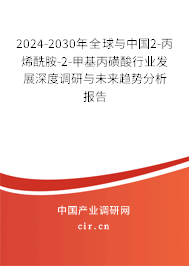 2024-2030年全球與中國2-丙烯酰胺-2-甲基丙磺酸行業(yè)發(fā)展深度調(diào)研與未來趨勢分析報告