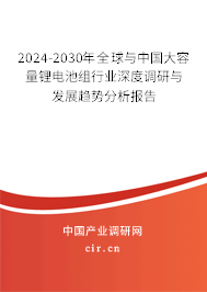 2024-2030年全球與中國大容量鋰電池組行業(yè)深度調(diào)研與發(fā)展趨勢分析報(bào)告 2024-2030年全球與中國大容量鋰電池組行業(yè)深度調(diào)研與發(fā)展趨勢分析報(bào)告
