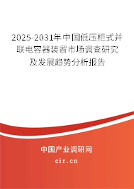 2024-2030年中國低壓柜式并聯(lián)電容器裝置市場調查研究及發(fā)展趨勢分析報告 2024-2030年中國低壓柜式并聯(lián)電容器裝置市場調查研究及發(fā)展趨勢分析報告