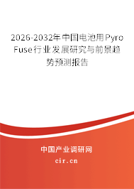 2026-2032年中國電池用Pyro Fuse行業(yè)發(fā)展研究與前景趨勢預(yù)測報告
