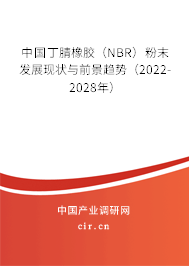 中國丁腈橡膠（NBR）粉末發(fā)展現(xiàn)狀與前景趨勢（2022-2028年）