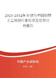 2025-2031年全球與中國(guó)鋼塑土工格柵行業(yè)現(xiàn)狀及前景分析報(bào)告