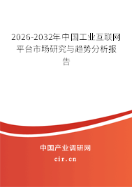 2024-2030年中國工業(yè)互聯(lián)網(wǎng)平臺市場研究與趨勢分析報告