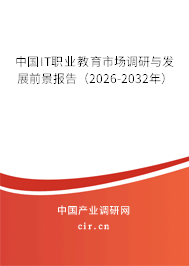 中國IT職業(yè)教育市場(chǎng)調(diào)研與發(fā)展前景報(bào)告（2025-2031年）