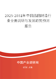 2025-2031年中國晶圓制造行業(yè)全面調(diào)研與發(fā)展趨勢預(yù)測報(bào)告