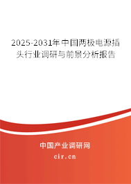2025-2031年中國兩極電源插頭行業(yè)調(diào)研與前景分析報告