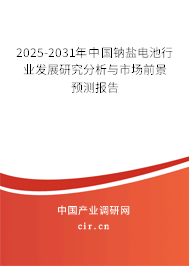 2025-2031年中國鈉鹽電池行業(yè)發(fā)展研究分析與市場前景預(yù)測報告 2025-2031年中國鈉鹽電池行業(yè)發(fā)展研究分析與市場前景預(yù)測報告