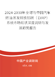 2024-2030年全球與中國汽車燃油蒸發(fā)排放控制(EVAP)系統(tǒng)市場現(xiàn)狀深度調(diào)研與發(fā)展趨勢報告 2024-2030年全球與中國汽車燃油蒸發(fā)排放控制(EVAP)系統(tǒng)市場現(xiàn)狀深度調(diào)研與發(fā)展趨勢報告
