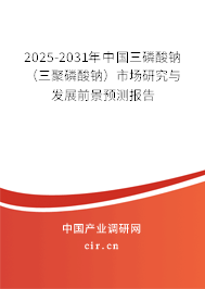2025-2031年中國三磷酸鈉（三聚磷酸鈉）市場研究與發(fā)展前景預測報告