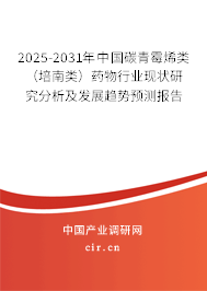2025-2031年中國碳青霉烯類(培南類)藥物行業(yè)現(xiàn)狀研究分析及發(fā)展趨勢預(yù)測報告 2025-2031年中國碳青霉烯類(培南類)藥物行業(yè)現(xiàn)狀研究分析及發(fā)展趨勢預(yù)測報告