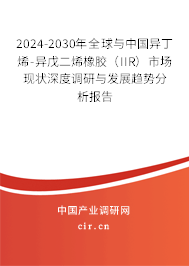 2024-2030年全球與中國異丁烯-異戊二烯橡膠（IIR）市場現(xiàn)狀深度調(diào)研與發(fā)展趨勢分析報告