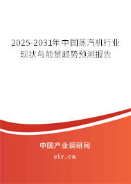 2026-2032年中國(guó)蒸汽機(jī)行業(yè)現(xiàn)狀與前景趨勢(shì)預(yù)測(cè)報(bào)告